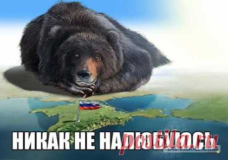 &quot; сегодня&quot; открывает мультимедийный пресс-центр в Крыму