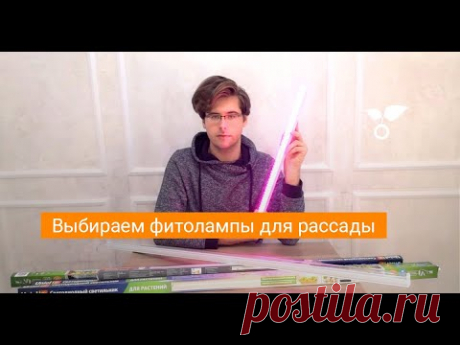 Выбираем фитолампы для рассады