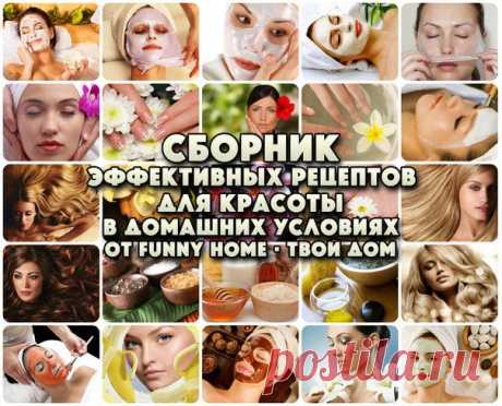 Funny Home • Твой дом