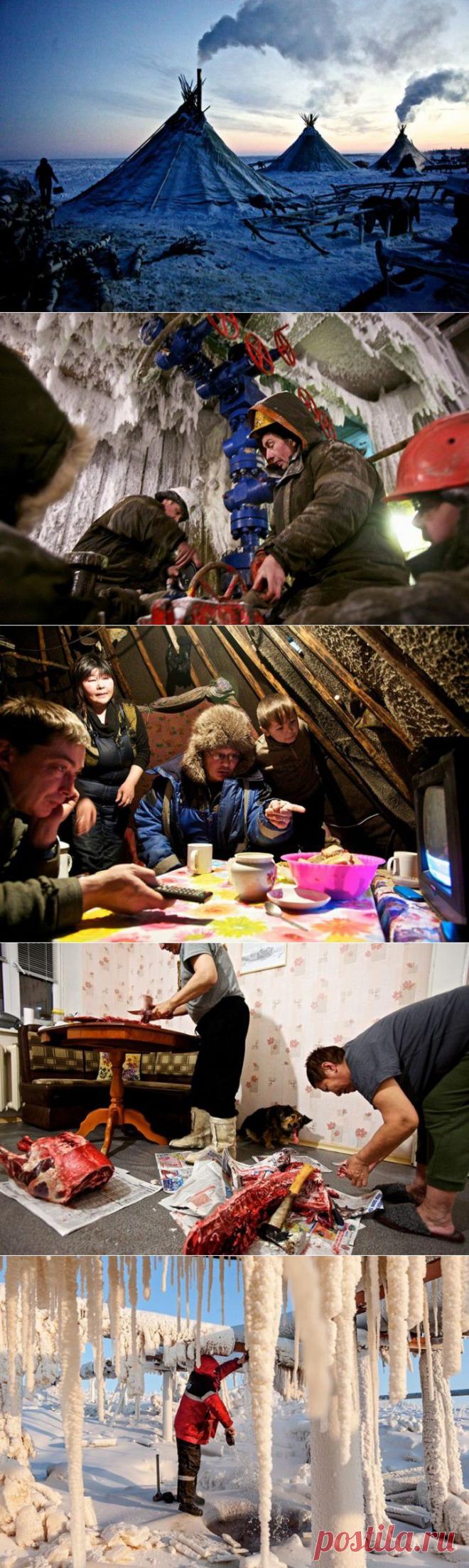 Зона абсолютного дискомфорта | Непутевые заметки