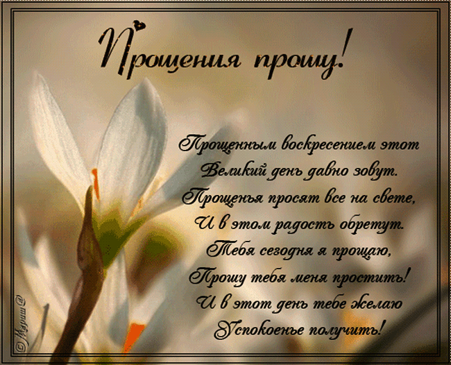 Анимированные открытки с Прощенным воскресеньем: 16 тыс изображений найдено в Яндекс.Картинках