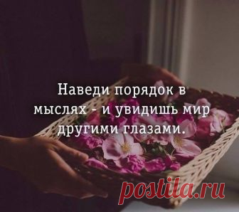 Фитхакер - Публикации