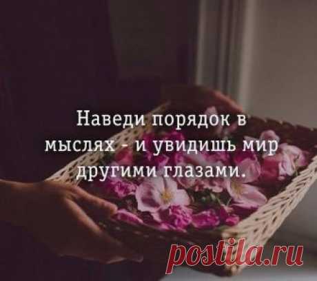 Фитхакер - Публикации