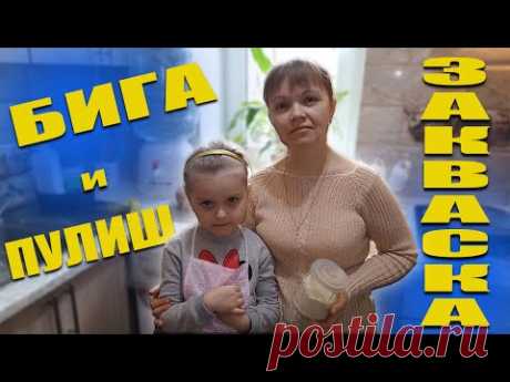Закваска бига и пулиш