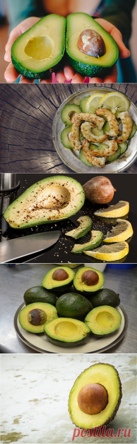 Что произойдет если есть авокадо каждый день