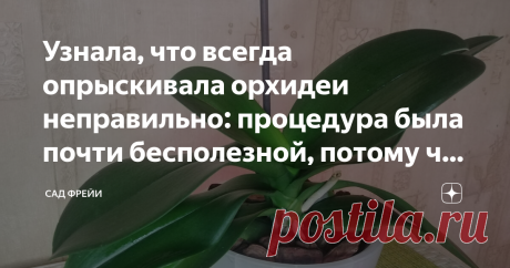 Узнала, что всегда опрыскивала орхидеи неправильно: процедура была почти бесполезной, потому что пшикала на листья сверху Здравствуйте, цветоманы! Меня зовут Екатерина и сегодня я в полной мере поняла значение поговорки "Чем дальше в лес - тем больше дров". Продолжаю разбираться в тонкостях ухода за фаленопсисами. Сегодня нашла любопытную информацию, которая перевернула мой мир выращивания орхидеи.
Об опрыскивании: истина где-то рядом
Скажу сразу, я вообще отношусь к пользе