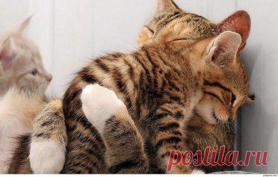 Нет ничего невозможного, когда рядом тот, кто в тебя верит! Срочно! требуются сотрудники для работы в интернете! Поверьте!!! Если Вы присоединитесь к нам в проект- никогда не пожалеете! Вся информация Здесь...