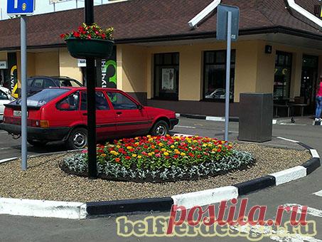 Наши работы - фото до и после. Портфолио дизайнера. — БельфлерДизайн