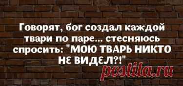 18 высказываний от мудрых женщин с юмором  
Принято считать, что женской половине общества присуща особая «логика», что проявляется в их уникальном виде мышления. Женщины и правда реагируют на стандартные жизненные ситуации совсем не так как …