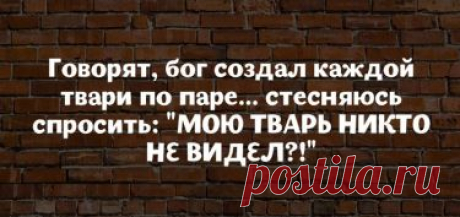 18 высказываний от мудрых женщин с юмором  
Принято считать, что женской половине общества присуща особая «логика», что проявляется в их уникальном виде мышления. Женщины и правда реагируют на стандартные жизненные ситуации совсем не так как …