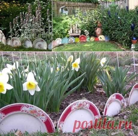 Результат поиска Google для https://plantcaretoday.com/wp-content/uploads/plate-border-quick-e-mail-view.jpg