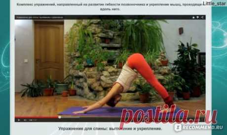 Программа "Гибкое тело" - gibkoetelo.ru - «Офисный работник или любитель тягать железо? Прошу всех сюда! Мое мнение об этой программе, опыт + ФОТО» | Отзывы покупателей