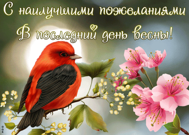 Красивая открытка последний день весны