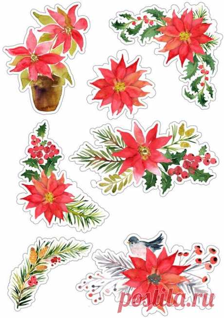 (9) Pinterest
