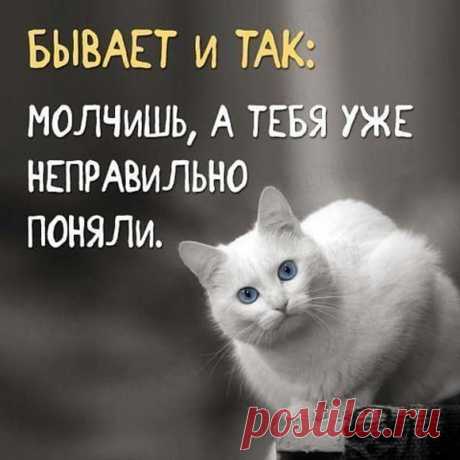 (11) Мой Мир@Mail.Ru