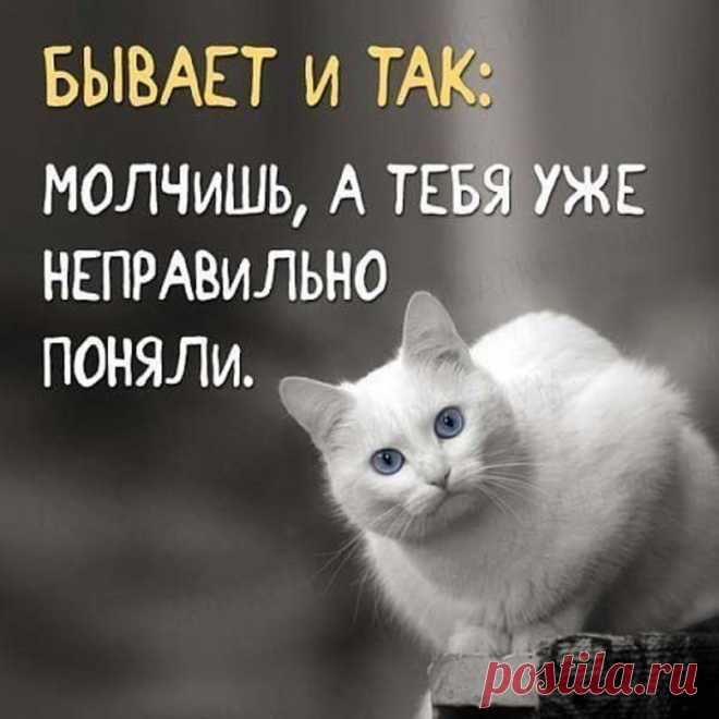 (11) Мой Мир@Mail.Ru