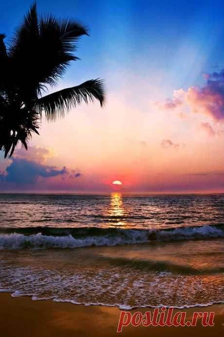 Grand Cayman Sunset #fluffyhero9 #grandcayman  |  Pinterest • Всемирный каталог идей