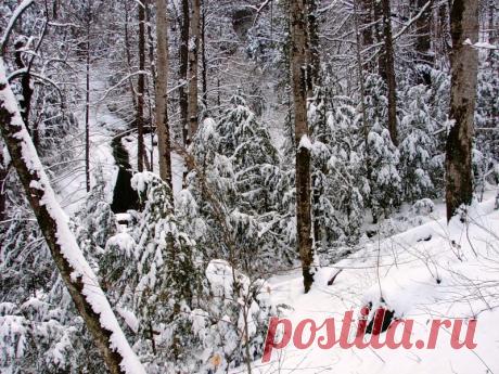 Приглашаем друзей