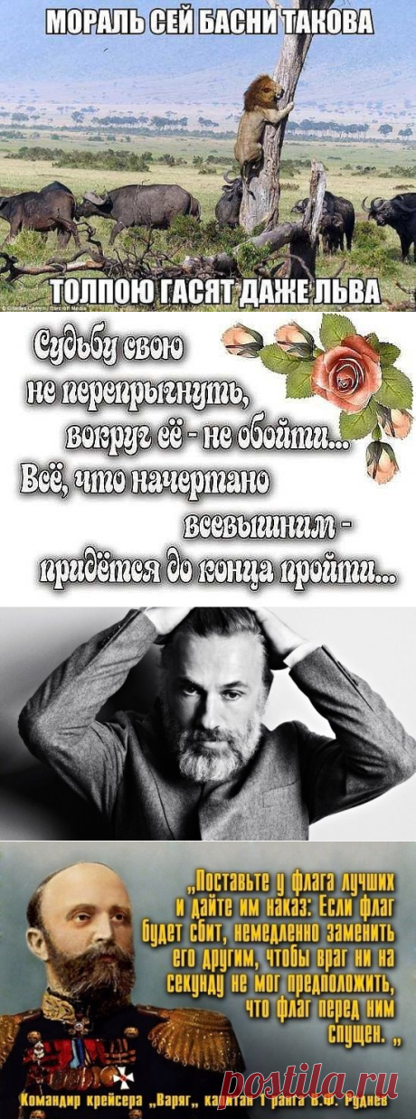 (6) Одноклассники