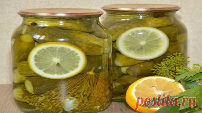Вкуснейшие хрустящие огурчики «Пражские» без уксуса - Скатерть-Самобранка - медиаплатформа МирТесен