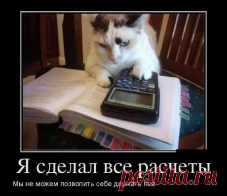 Самые новые демотиваторы (30 фото ) - Обхохочешься - медиаплатформа МирТесен