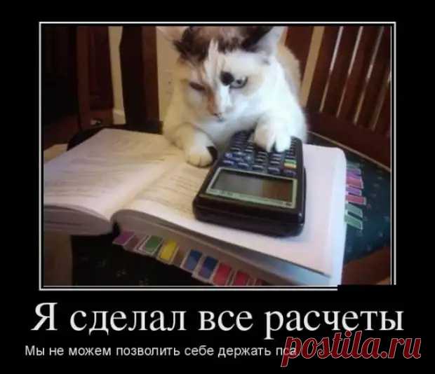 Самые новые демотиваторы (30 фото ) - Обхохочешься - медиаплатформа МирТесен