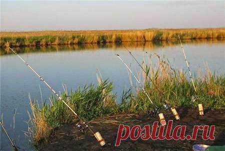 Я выживаю везде!