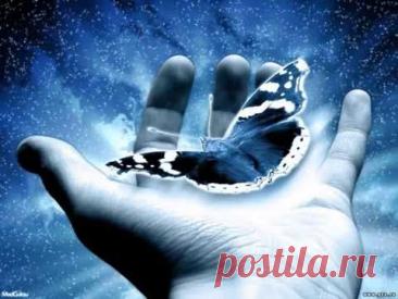 Песня о Нежности