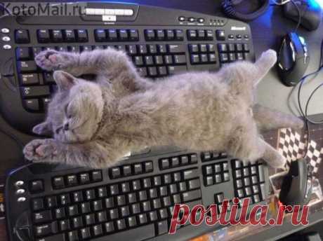 Спящий режим)