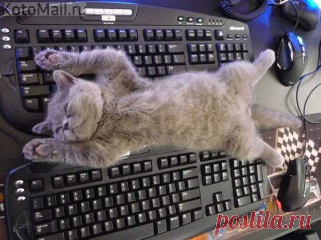 Спящий режим)