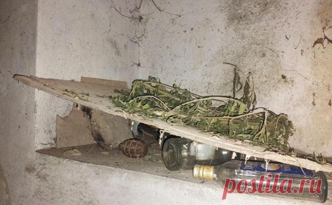 В заброшенном коровнике в Херсонской области нашли 666 кг марихуаны. В Херсонской области в заброшенном коровнике нашли 666 кг марихуаны, хозяева склада задержаны.