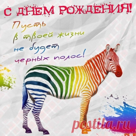 synu-21.jpg (604×604)