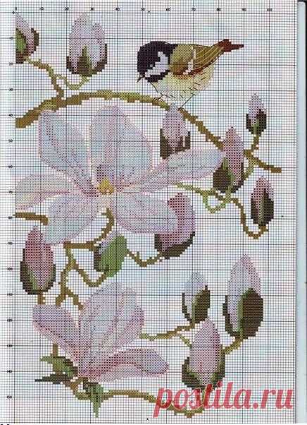 Синичка на ветке магнолии крестом