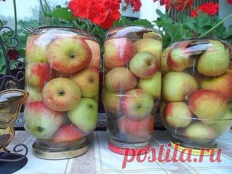ЯБЛОКИ МОЧЕНЫЕ - САМЫЙ ПРОСТОЙ РЕЦЕПТ!
Крепкие яблоки, желательно поздних зимних сортов сложить в 3-х литровые банки залить холодной водой, насыпать 3 ложки соли, 3 ложки сахара, положить пару лавровых листиков, можно гвоздичку. 
Закрыть крышками и хорошо потрясти , чтобы соль и сахар растворились. Оставить на неделю при комнатной температуре, а затем унести в холодный подвал. 
Через месяц яблоки готовы, хранить можно всю зиму , до весны.