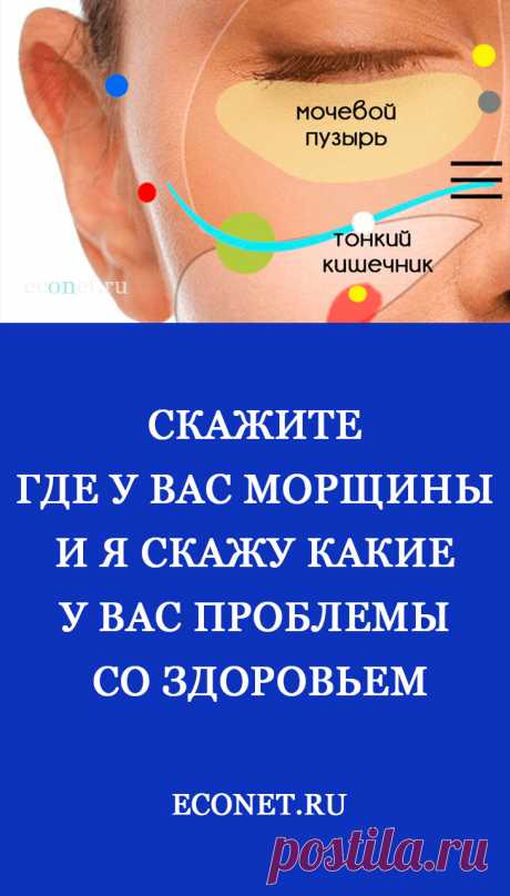 Скажите где у вас морщины и я скажу какие у вас проблемы со здоровьем

Морщины на вашем лице – это своеобразная карта здоровья. Они могут рассказать многое о скрытых болезнях внутренних органов.