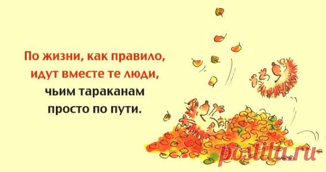 Одной фразой – Фитнес для мозга