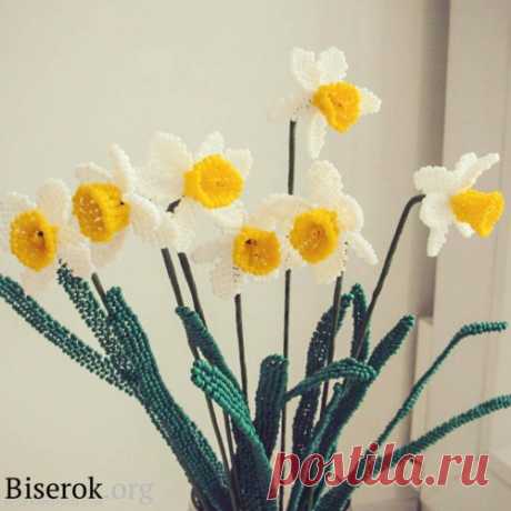 Нарциссы / Цветы / Biserok.org