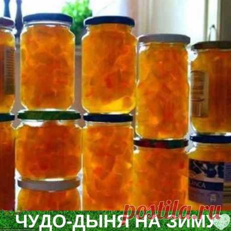 ЧУДО-ДЫНЯ НА ЗИМУ