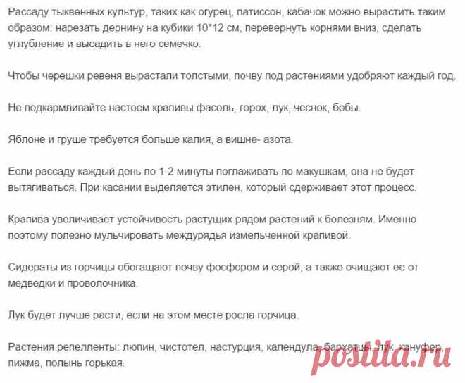 Gallery.ru / Фото #36 - Полезные советы - Engelis