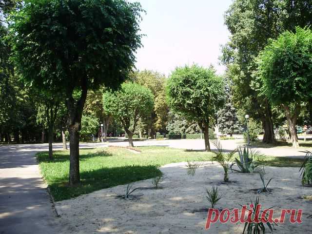 Парк.