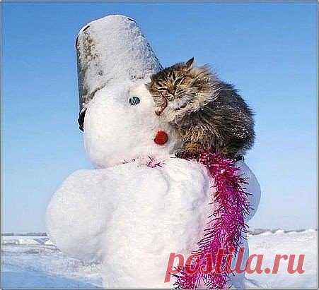 Не важно - у кого, Главное -  на рученьках...