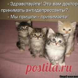 Девять необычных способов использования отбеливателя