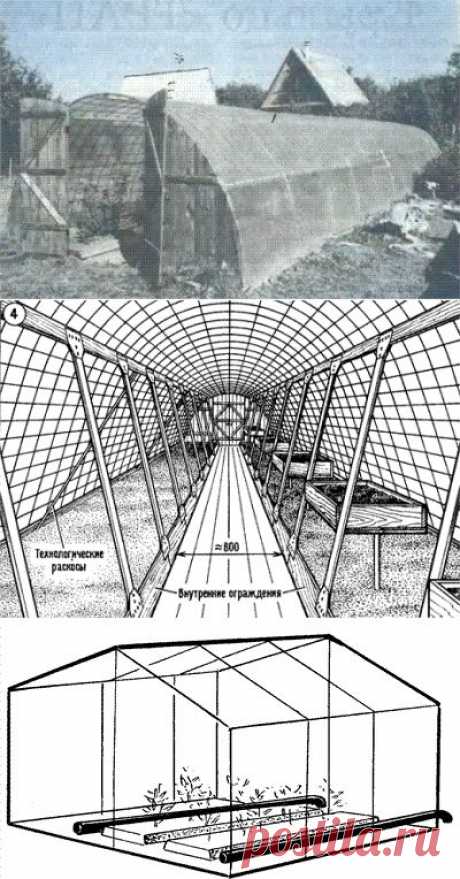 ДАЧНИКИ — УДАЧНИКИ: Теплицы