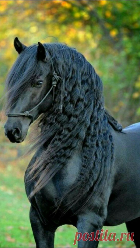 (931) Pinterest