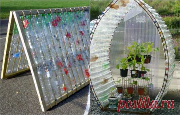 Всю зиму он собирал бутылки и свозил на дачу… Соседи смеялись, но весной участок было не узнать! |