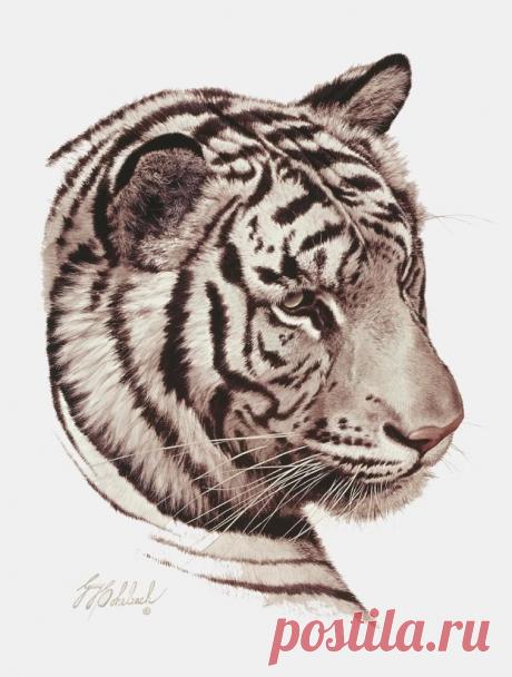 Кошачьи портреты Гая Коэлича - Искусство животных Гая Коэлича