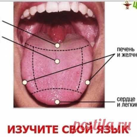 ХИЖИНА ЗДОРОВЬЯ. Изучите свой язык