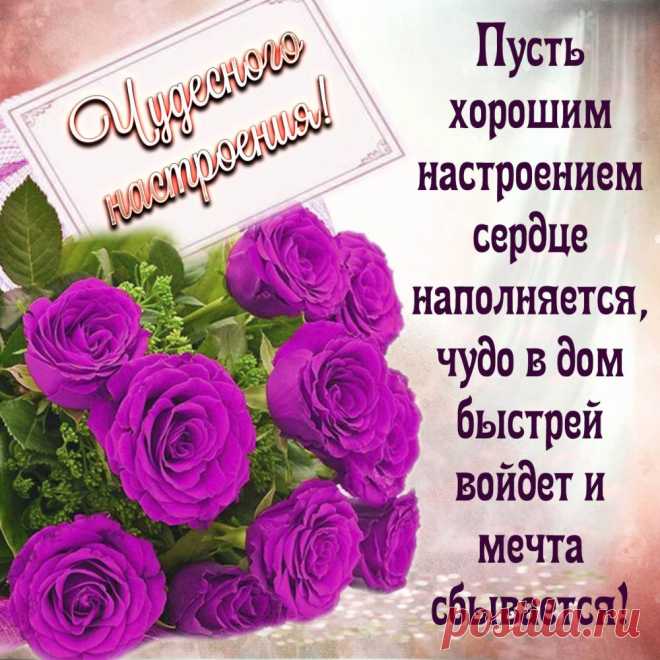 Желаю тебе светлых мыслей,
Ценить желаю жизни смысл,
Осознавать, что счастье рядом,
Судьба с удачливым раскладом,
Не потерять то, что имеешь,
И дорожить тем, чем владеешь.