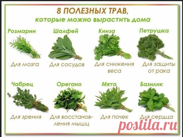 Фотографии на стене сообщества – 90 366 фотографий | ВКонтакте