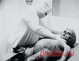 Научные сенсации, оказавшиеся фальшивками — Рамблер/субботний